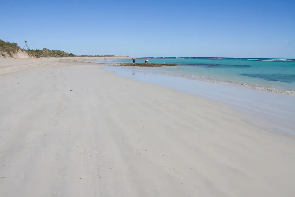 Main view of Homely land listing, 8 Mast Top Lookout, Drummond Cove WA 6532