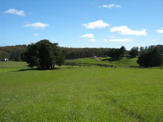 Third view of Homely rural property listing, 686 South Preston Road, Nietta TAS 7315