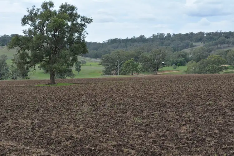 Second view of Homely rural property listing, 62 Purlewaugh Rd, Premer NSW 2381