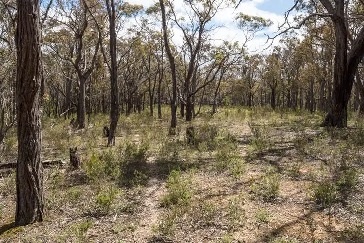 Fourth view of Homely land listing, Lot 31 Tantaus Road, Dereel VIC 3352