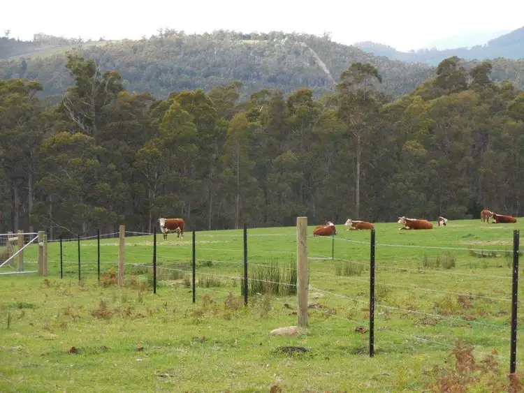 Fifth view of Homely rural property listing, 22 KNIGHTS ROAD, Nabowla TAS 7260