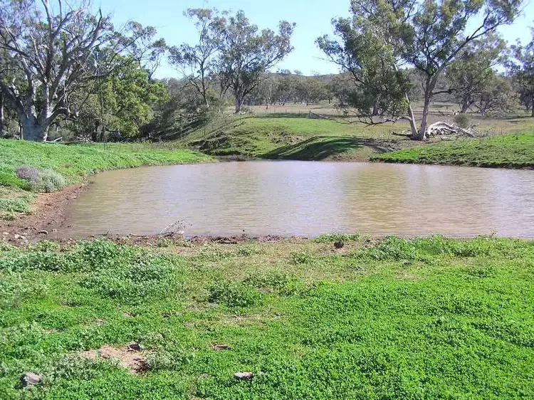 Seventh view of Homely rural property listing, Nombi Road, Mullaley NSW 2379