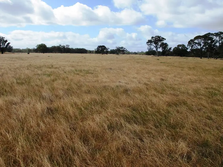 Fifth view of Homely rural property listing, # Western Highway Dadswells Bridge via, Horsham VIC 3400