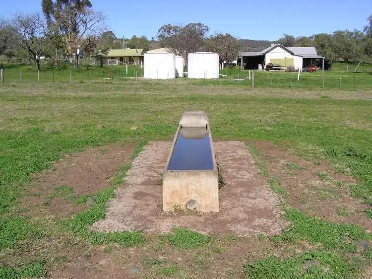 Fifth view of Homely rural property listing, Nombi Road, Mullaley NSW 2379