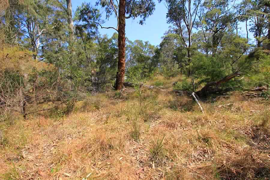 Main view of Homely land listing, 629-643 Halcrows Road, Cattai NSW 2756
