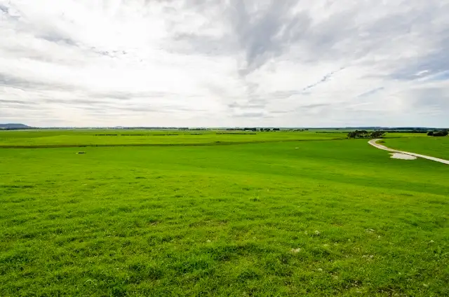 Seventh view of Homely rural property listing, 408 Settlers Road, Mount Schank SA 5291