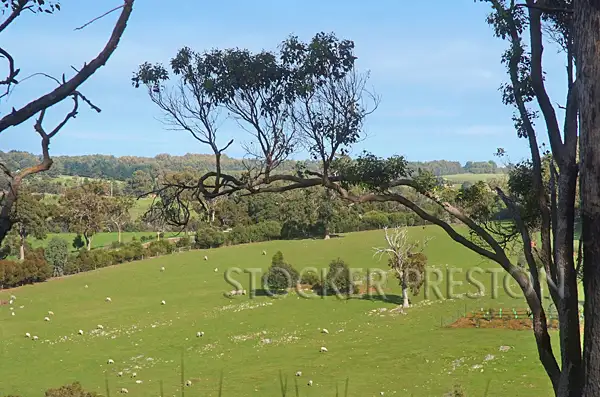 Fourth view of Homely land listing, Lot 39 Nukklgup Loop, Yallingup WA 6282
