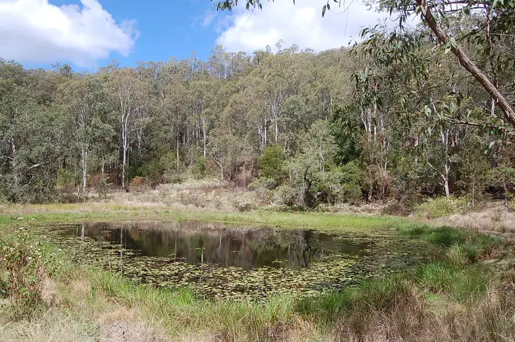 Lot 101 Duck Creek Road, Old Bonalbo NSW 2469