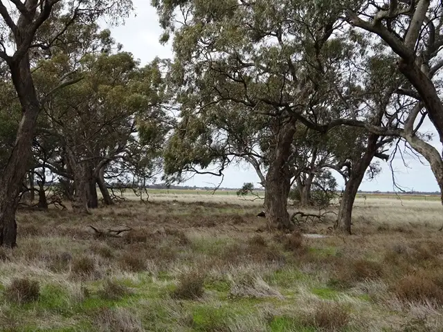 Fourth view of Homely rural property listing, Lot 2 Line Road, Moama NSW 2731