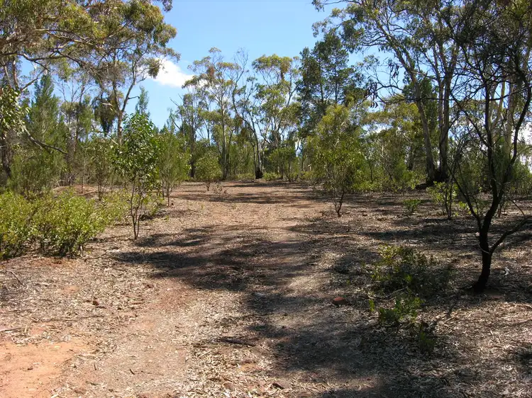 Main view of Homely land listing, Lot 12 Goldfields Road, Cockatoo Valley SA 5351
