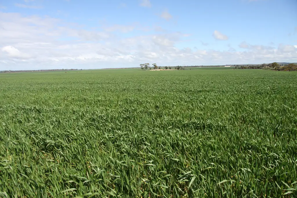 Main view of Homely rural property listing, Mt Grey Group Nungarin North Road, Nungarin WA 6490