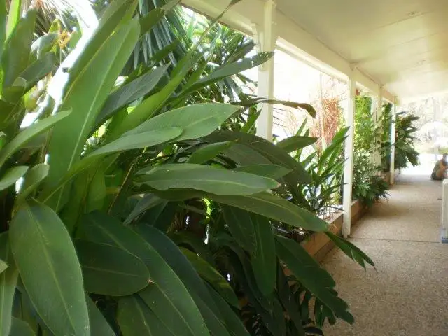 Second view of Homely house listing, 13 Allingham Way, Agnes Water QLD 4677