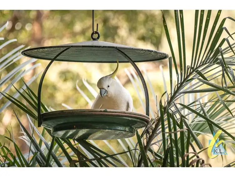 Fourth view of Homely house listing, 15 Wattle St, Mount Crosby QLD 4306