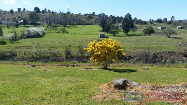 Seventh view of Homely house listing, 6 Quartz Street, Adelong NSW 2729