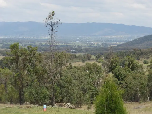 Main view of Homely rural property listing, 94 Spring View Lane, Mudgee NSW 2850