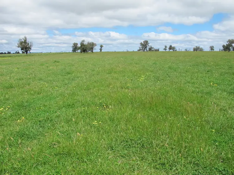 Fourth view of Homely rural property listing, 175 Noradjuha Tooan East Road, Horsham VIC 3400