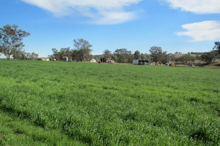 Sixth view of Homely rural property listing, "Uliman" Purlewaugh Rd, Coonabarabran NSW 2357