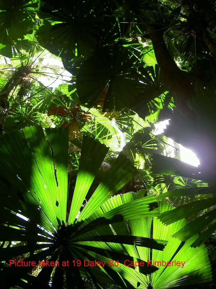 Sixth view of Homely land listing, Lot 19 Cape Tribulation Road KIMBERLEY, Daintree QLD 4873