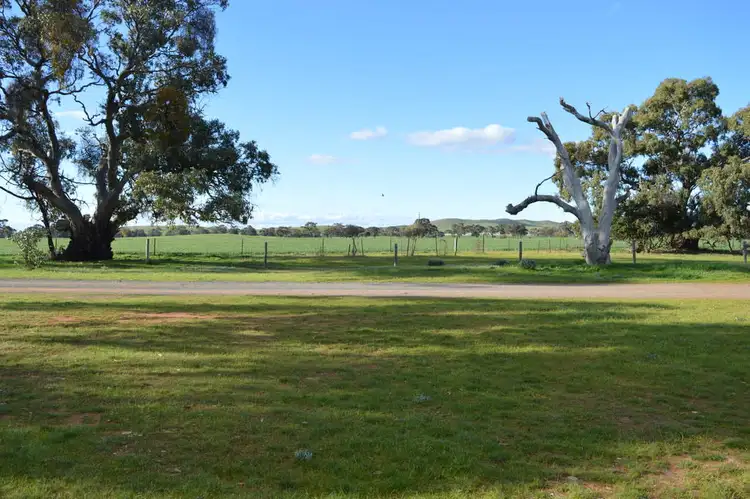 Fifth view of Homely rural property listing, 161 East Terrace, Hallett SA 5419