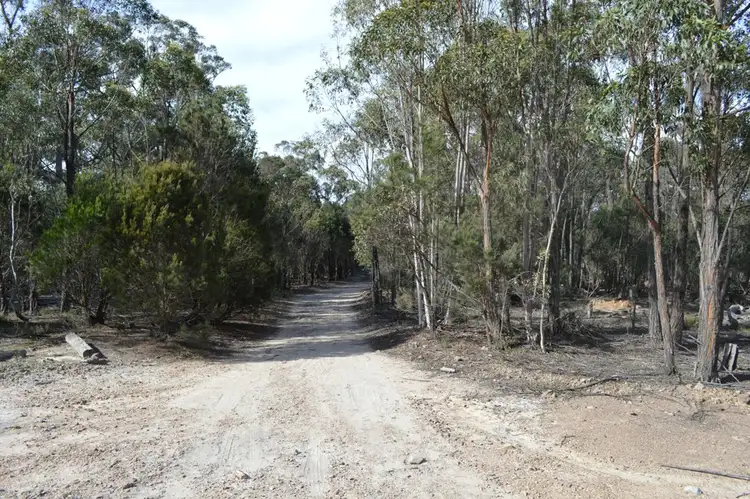 Fourth view of Homely rural property listing, 260 Sturgiss Lane, Tarago NSW 2580