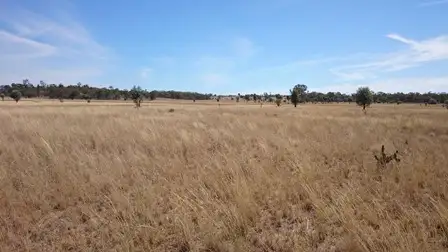 Seventh view of Homely land listing, 1408 ORALLO ROAD, Bungeworgorai QLD 4455