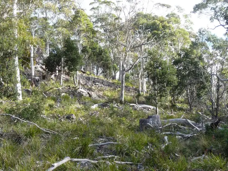 Sixth view of Homely rural property listing, . Chock-N-Log Bay, Lake Leake TAS 7210