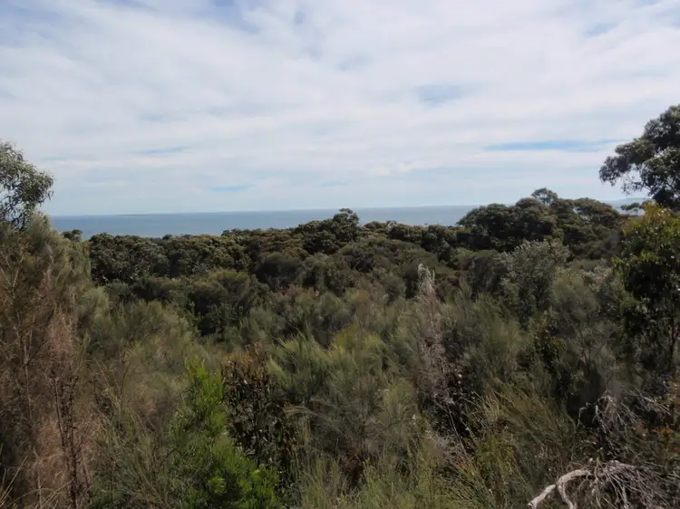 Fourth view of Homely rural property listing, Lot 1 Palana Road, Blue Rocks, Flinders Island TAS 7255