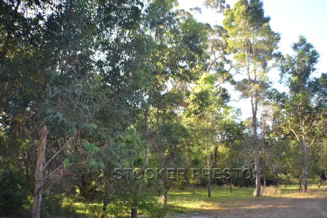 Fourth view of Homely land listing, 3 Timber Court, Cowaramup WA 6284