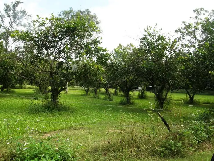 Seventh view of Homely house listing, 57 Forestry, Cannon Valley QLD 4800