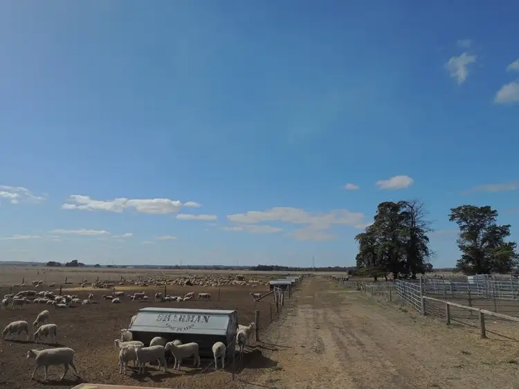 Seventh view of Homely rural property listing, Lot 100 Donoghues Road, Naracoorte SA 5271