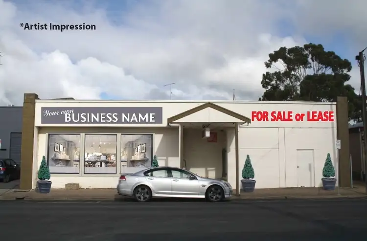 Main view of Homely house listing, 14 Robertson St, Naracoorte SA 5271