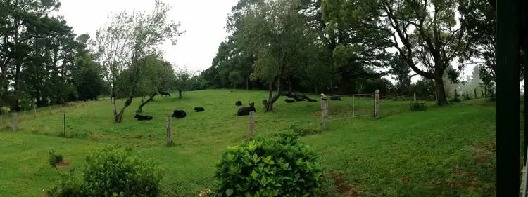 Third view of Homely rural property listing, 935 Whisky Creek Road, Dorrigo NSW 2453