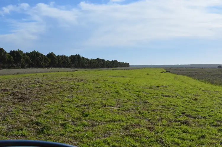 Sixth view of Homely rural property listing, 3667 Southern Ports Highway, Robe SA 5276