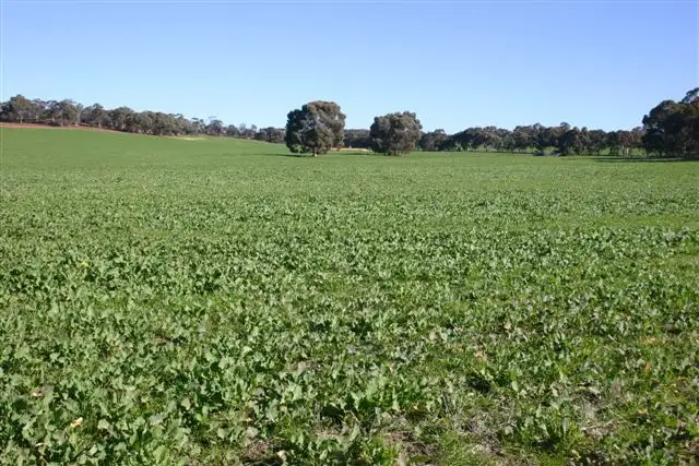 Sixth view of Homely rural property listing, Address available on request