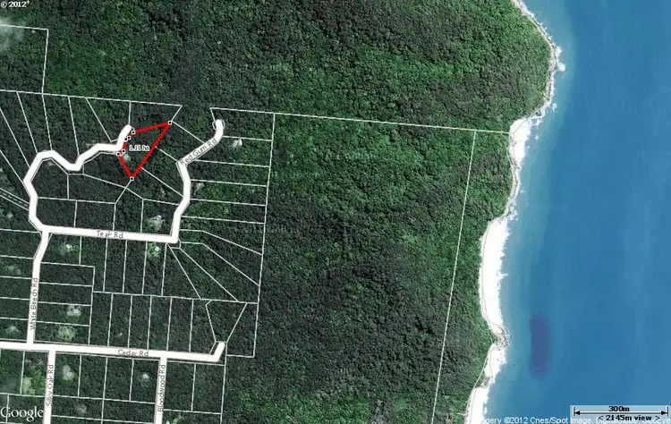 Fourth view of Homely house listing, Lot 236 (96R) White Beech Road COW BAY, Daintree QLD 4873