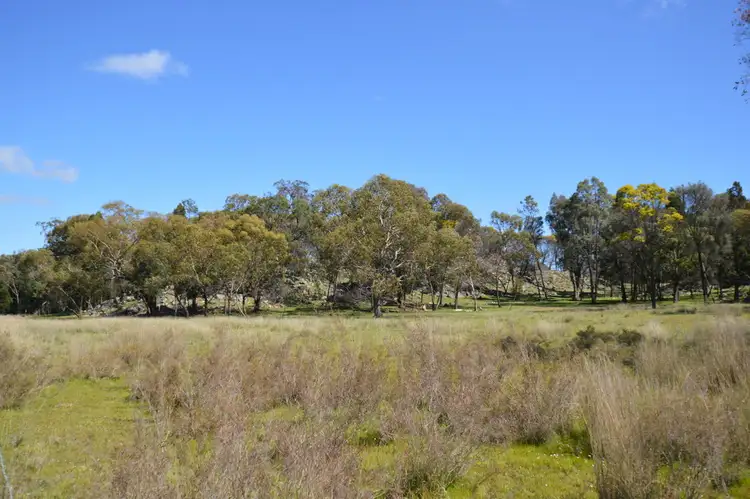 Seventh view of Homely rural property listing, 420 Ridge Road, Mudgee NSW 2850