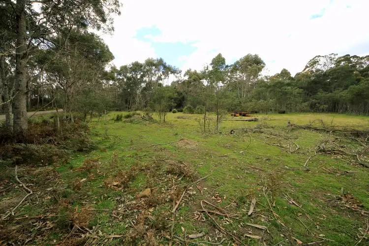 Third view of Homely rural property listing, Lot 3 Elephant Pass Road, St Marys TAS 7215