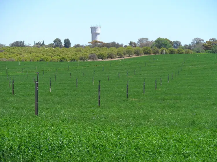 Fourth view of Homely land listing, Section 705 & Lot 10 Gratwick Road, Loxton SA 5333