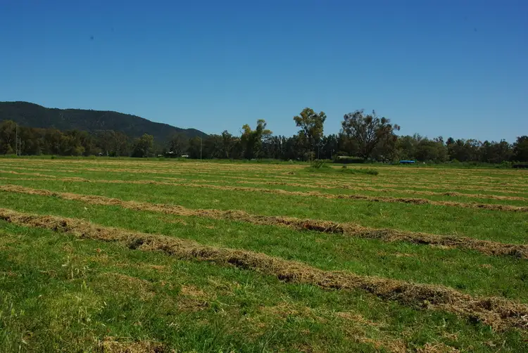 Fifth view of Homely rural property listing, 1 Maxwell Street, Wellington NSW 2820