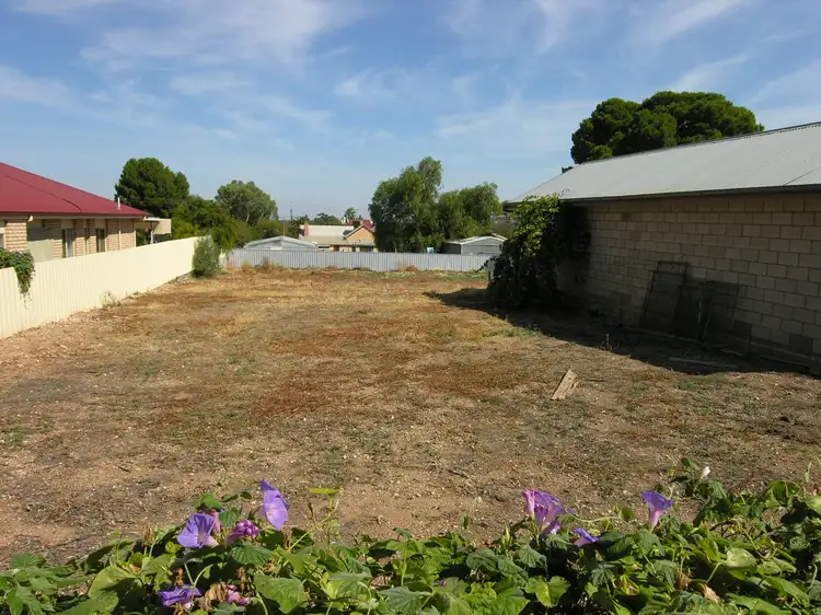 26 Edward Street, Willaston SA 5118