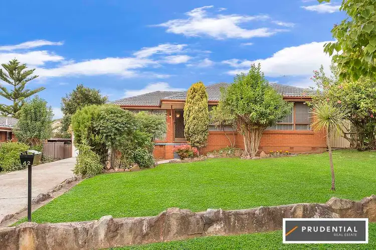 42 Raymond Avenue, Campbelltown NSW 2560