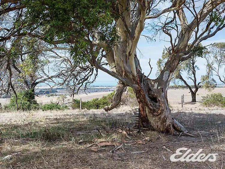 Fourth view of Homely rural property listing, 2113 JB's Way, Middleton SA 5213