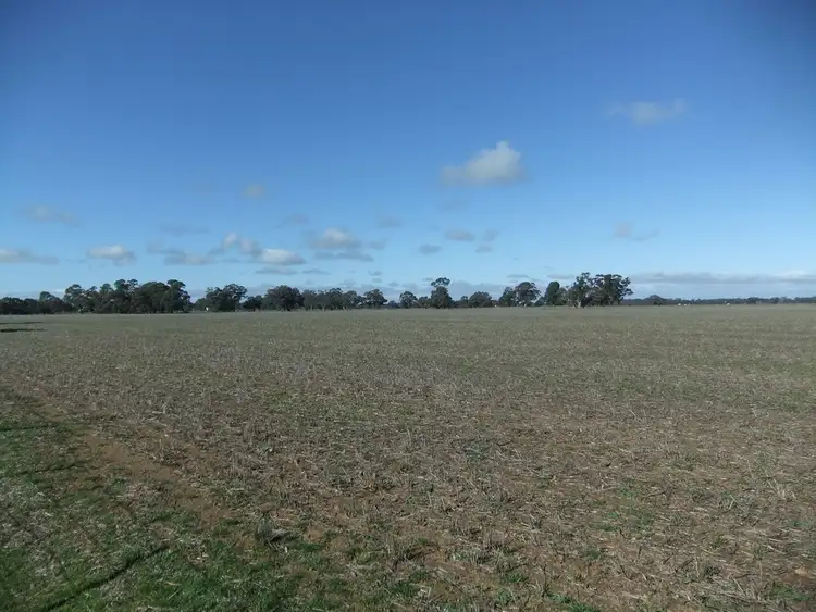 Fourth view of Homely rural property listing, 70 Cains Road, Natte Yallock VIC 3465