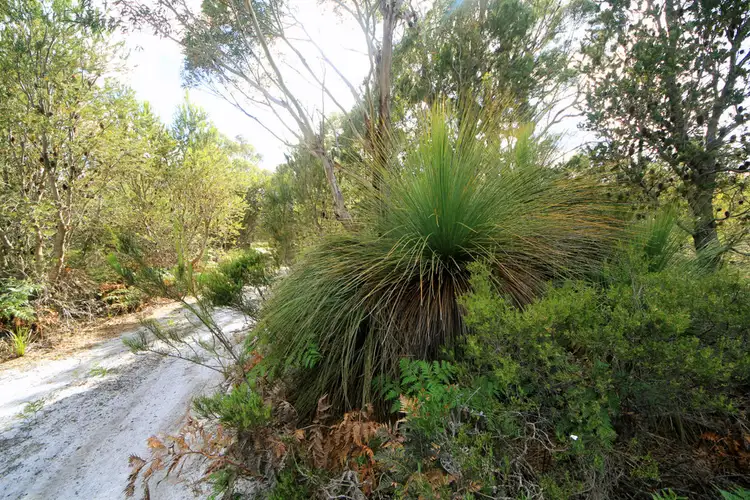 Sixth view of Homely land listing, 1132 North Ansons Road, Ansons Bay TAS 7264