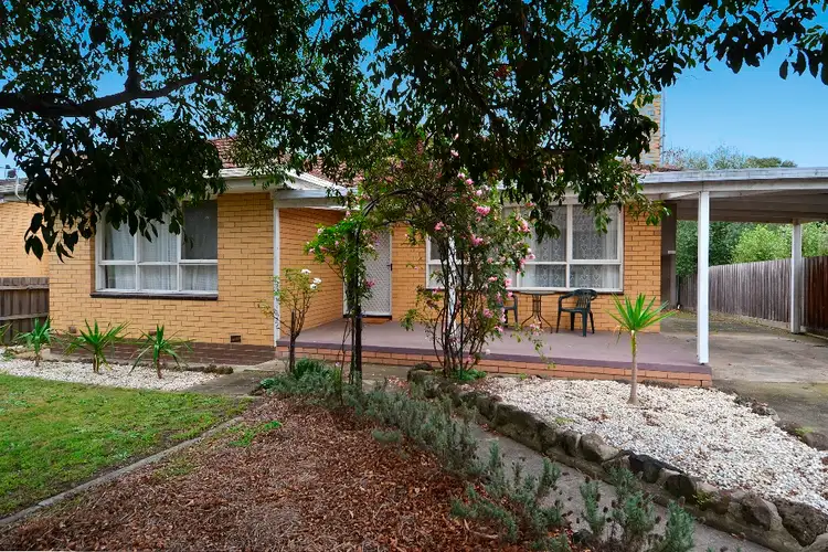 20 Kanimbla Avenue, Leopold VIC 3224