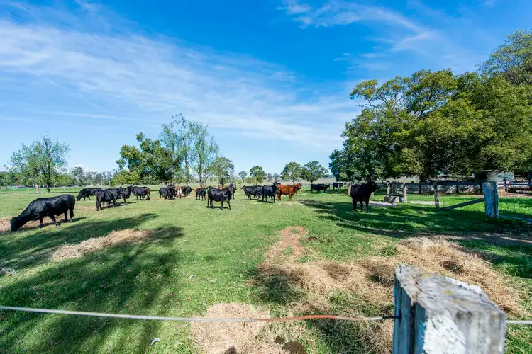 Third view of Homely house listing, 299 Gwydir Highway, Waterview NSW 2460