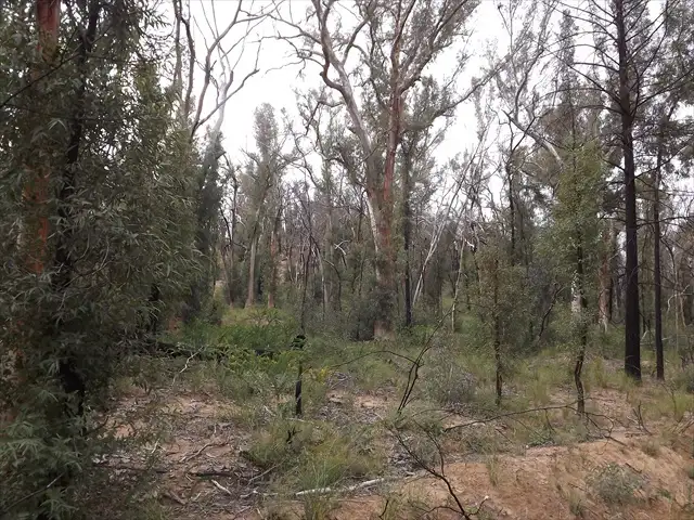 Sixth view of Homely land listing, Passchendale Timor Road, Coonabarabran NSW 2357