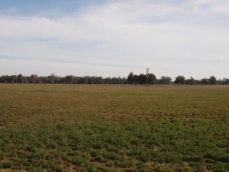 Fourth view of Homely rural property listing, Address available on request