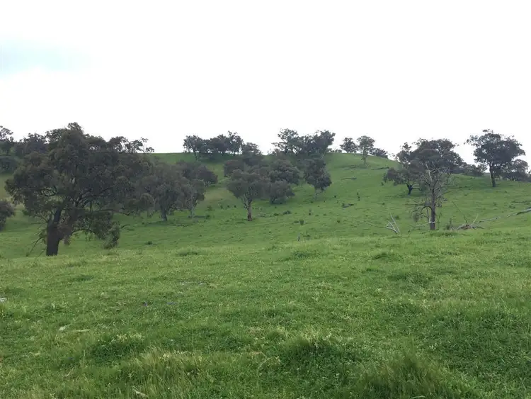 Fourth view of Homely rural property listing, 3938 Snowy Mountains Highway, Adelong NSW 2729