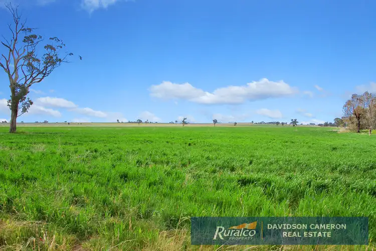 Fifth view of Homely rural property listing, Canberra 982 Warral Bithramere Road, Tamworth NSW 2340